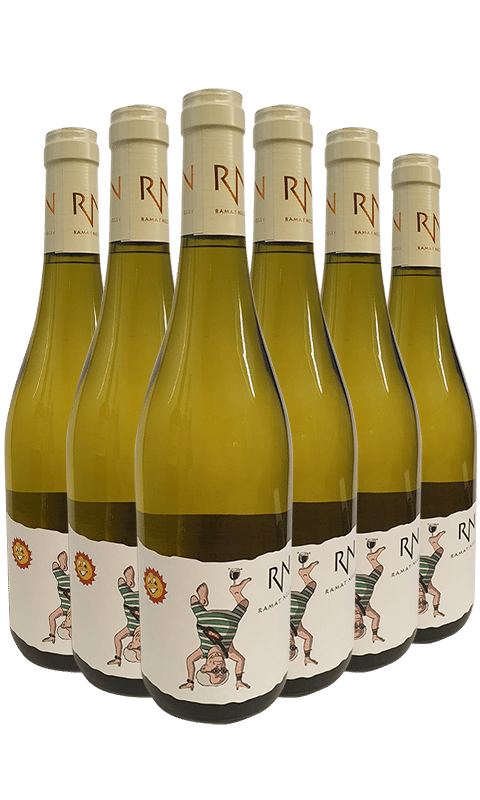 שישיית רמת נגב ספיישל אדישן לבן